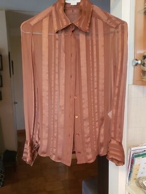 Stella McCartney Sheer Striped Taupe Button-Front Blouse
